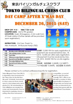 Day Camp after X'mas Day!